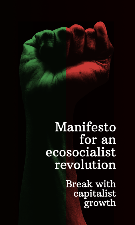 Manifesto for an ecosocialist revolution